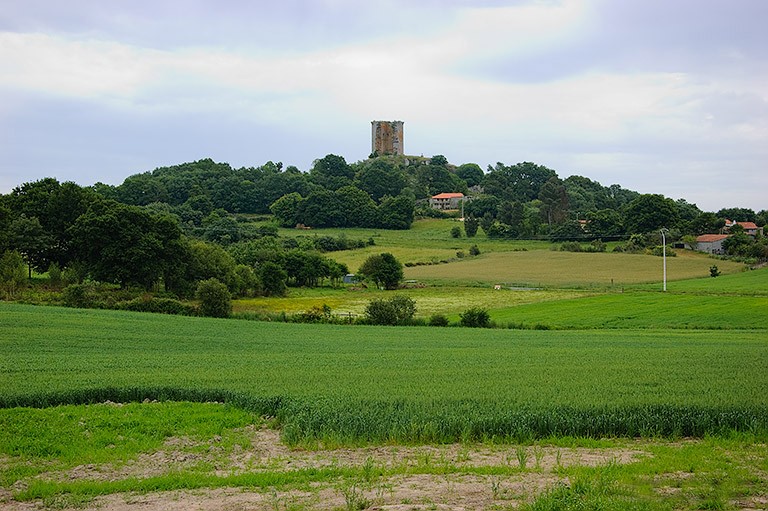 Torre del Castro, s.XII (Sandiás)